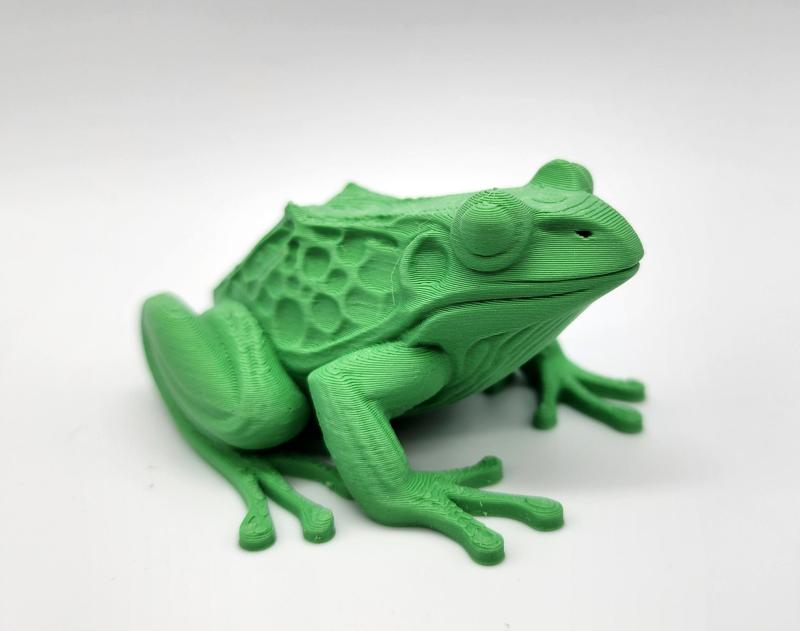 Realistic Frog