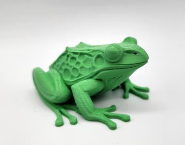 Realistic Frog