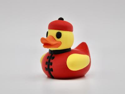 Chinese Duck