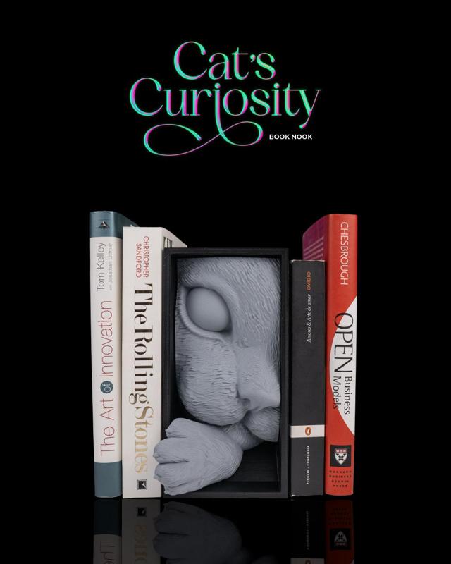 Cat s Curiosity Book Nook 
