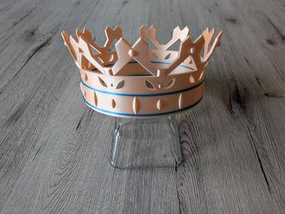 Crown for Children and Adults Party Hat King