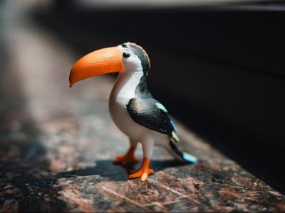 Toucan