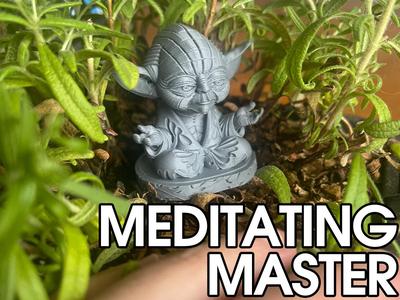 Meditating Master - Cartoon Wood Style