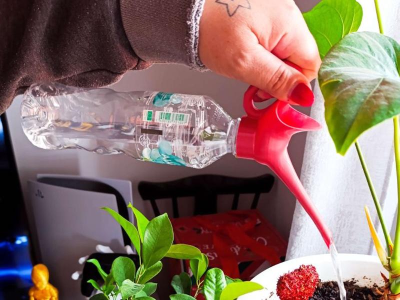 Watering bottle cap