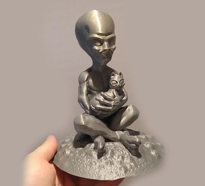 Alien and his cat without supports