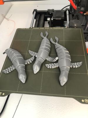 Articulated Seal