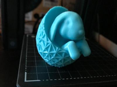 Cute Rabbit in a Geometric Egg!