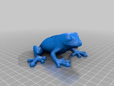 Frog SD Card Holder