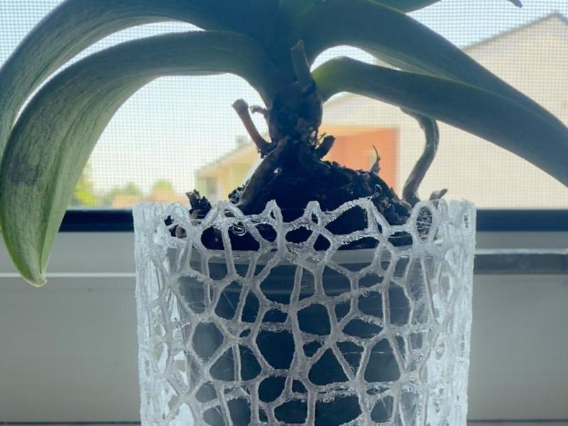 Orchid Voronoi Vase