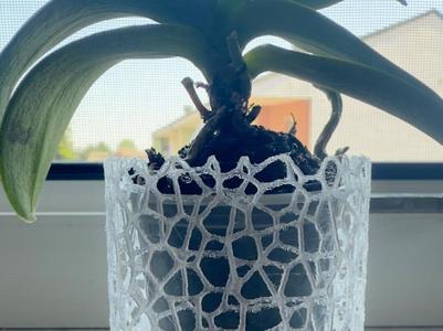 Orchid Voronoi Vase