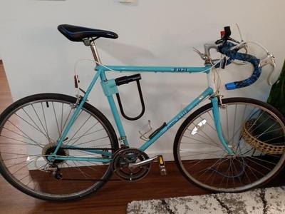 Bicycle U-Lock Mount