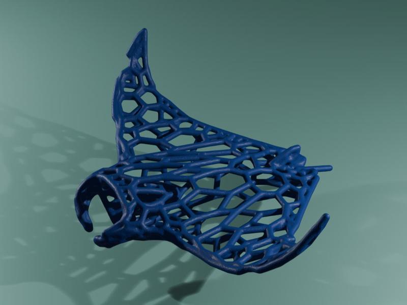 Manta Ray Voronoi