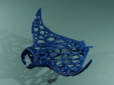 Manta Ray Voronoi