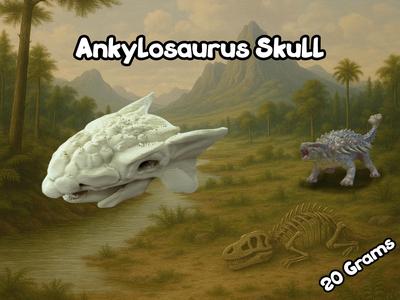 Ankylosaurus Skull