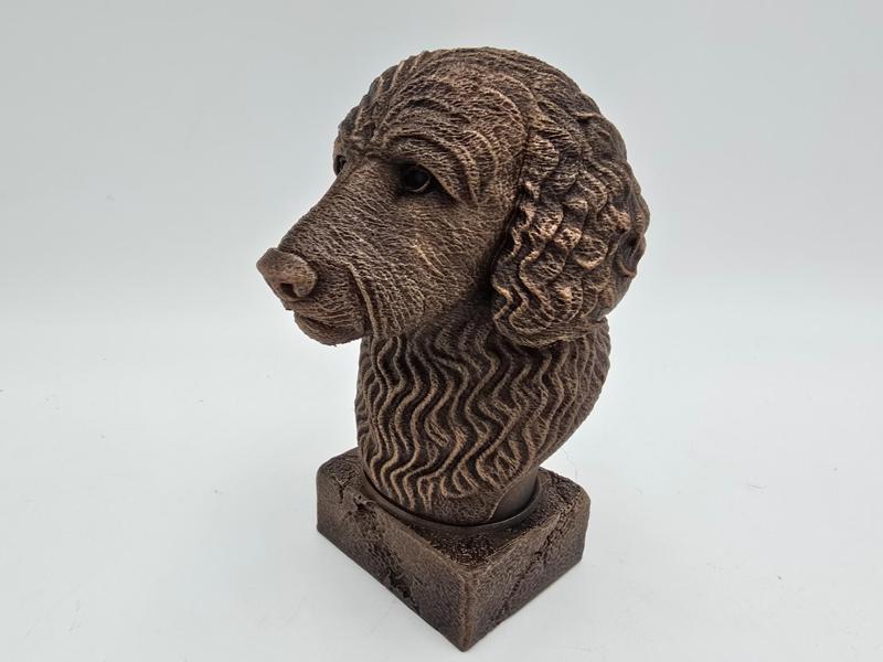 GOLDENDOODLE BUST