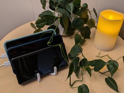 Phone and Remote Organizer