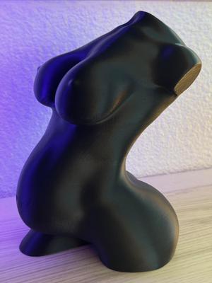 Pregnant curvy female body (vase mode)