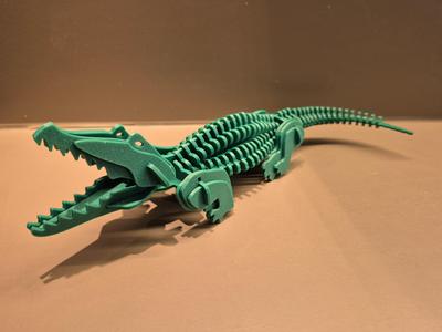 3D Crocodile puzzle