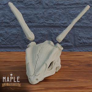 Rayquaza Skull - Pokemon