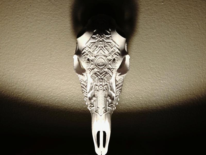 "Symbolic Alien" Deer Skull Antler Mount w/ knobs