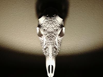 "Symbolic Alien" Deer Skull Antler Mount w/ knobs