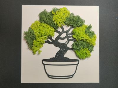 Moss Picture Tree Bonsai
