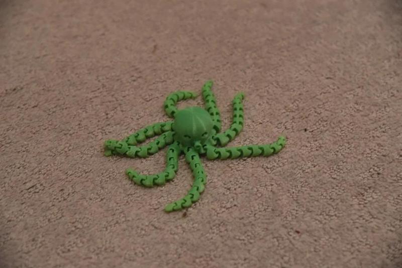 Octopus With Xtra Long Legs