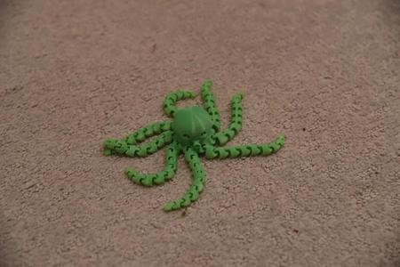 Octopus With Xtra Long Legs