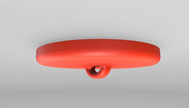Ceiling Disk Hook