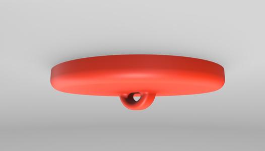 Ceiling Disk Hook