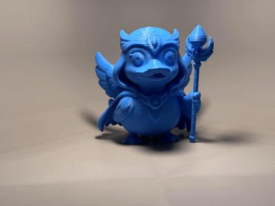 Sorcerducka! The guardian of the pond