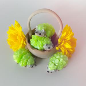Hedge Hog Flexi and Basket