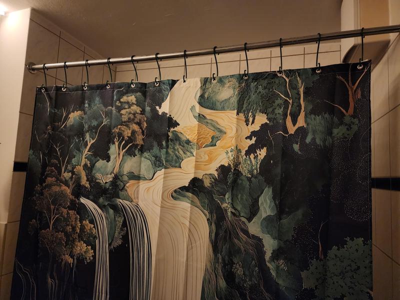 Shower Curtain Hanger