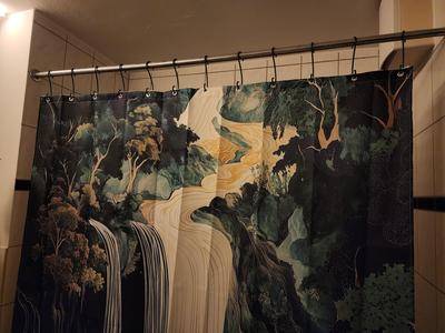 Shower Curtain Hanger