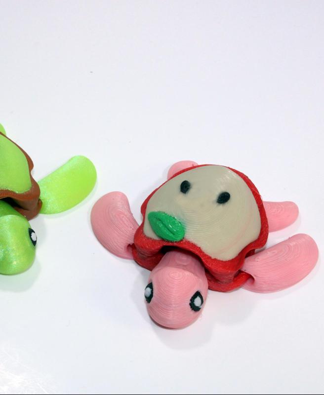 Apple Turtle