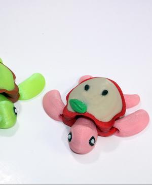 Apple Turtle