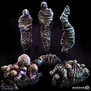 Cocoons and Spider Eggs