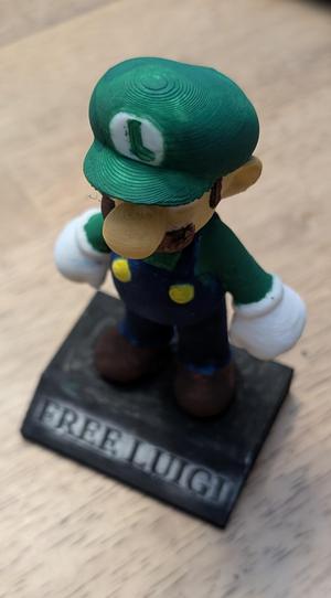Free Luigi!