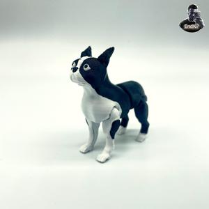 Boston Terrier Dog - Articulated - Print in Place - Flexi - No supports
