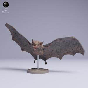Kitti's Hog-Nosed (Bumblebee) Bat Flying