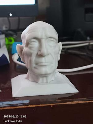 bust of an old man