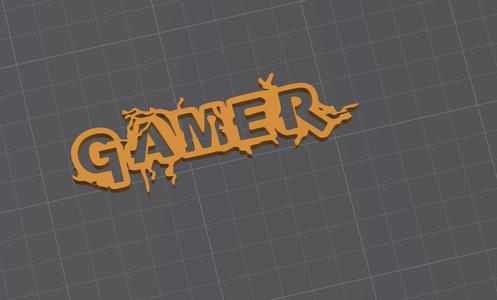 Gamer