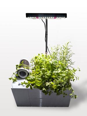 HydroForge - hydroponic station