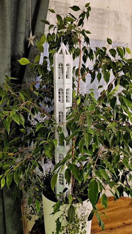 Moss Tower ( Moss Pole)