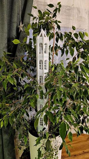 Moss Tower ( Moss Pole)