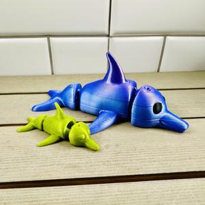 Darla the Cute Dolphin