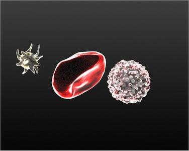 Blood Cells: a Visual funny Kit for Biology