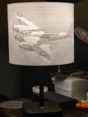 DH98 Mosquito Lithophane Lampshade