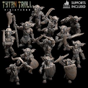 Goblin Raider Pack [Pre-Supported]