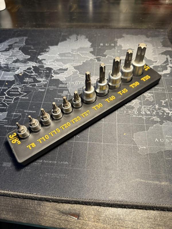 Gridfinity torx Socket holder